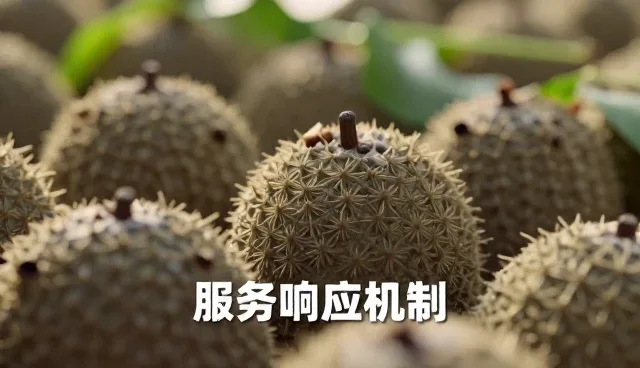 农产品加工工艺兼容性对生产效率的影响分析